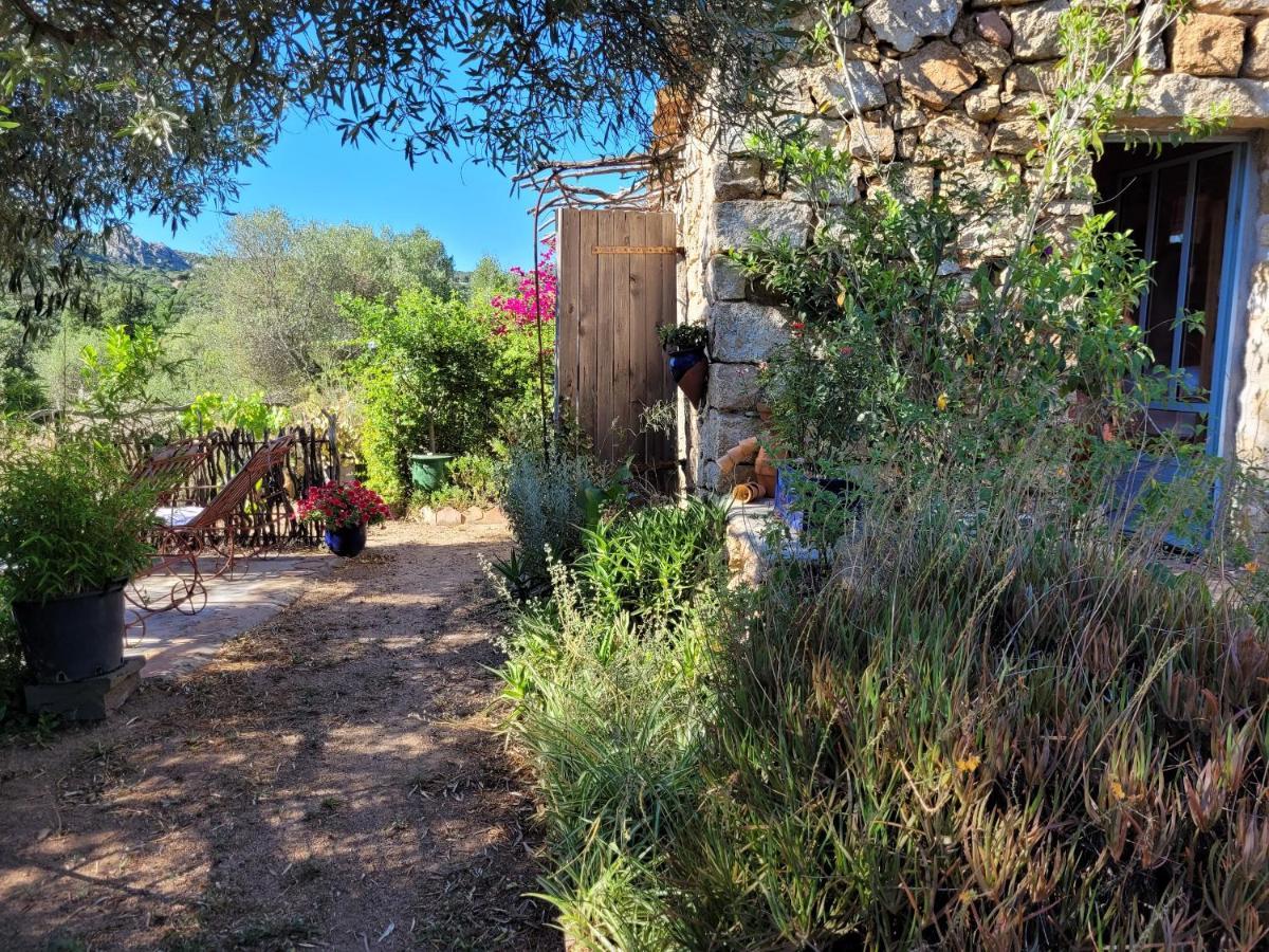 Stazzu La Capretta Farm Camping & Guest Rooms ออลเบีย ภายนอก รูปภาพ