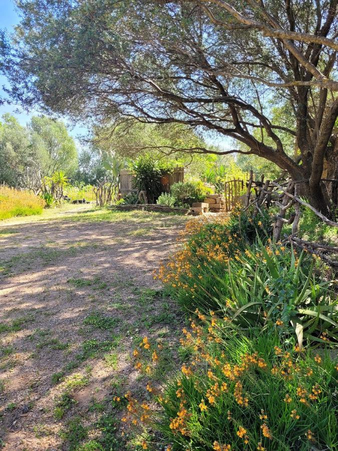 Stazzu La Capretta Farm Camping & Guest Rooms ออลเบีย ภายนอก รูปภาพ