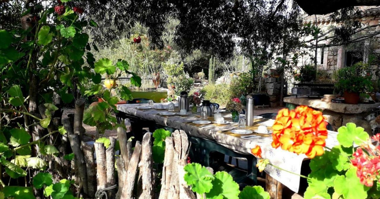 Stazzu La Capretta Farm Camping & Guest Rooms ออลเบีย ภายนอก รูปภาพ