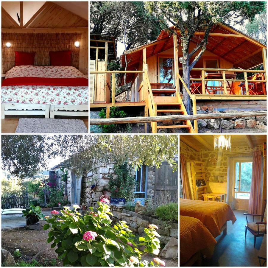 Stazzu La Capretta Farm Camping & Guest Rooms ออลเบีย ภายนอก รูปภาพ